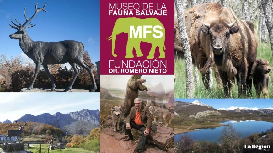 Museo de la Fauna Salvaje de Valdehuesa