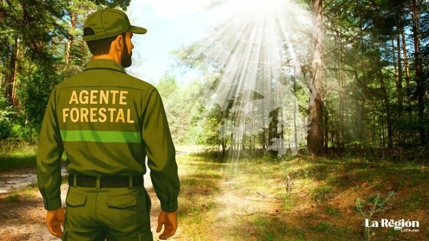 Guardianes del monte: el oficio forestal en tierras leonesas