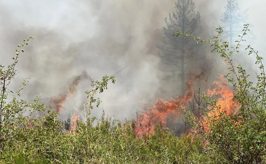 León llora a su voluntario: muere atrapado por el fuego en Nogarejas