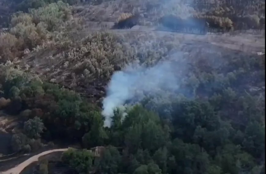 Así ha quedado Riofrío de Aliste tras el incendio