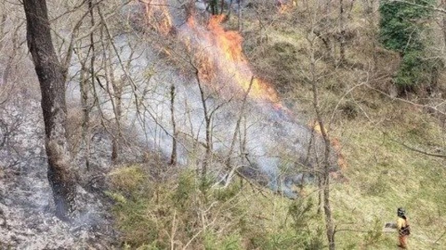 Nuevos incendios en Picos de Europa amenazan la frontera norte