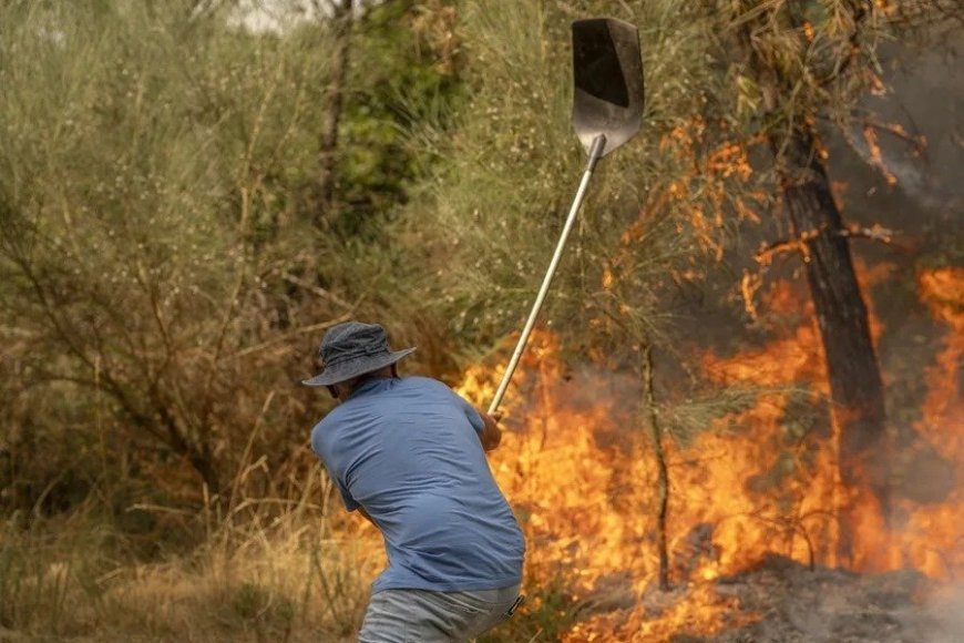 Situación de los incendios forestales en la región leonesa y zonas limítrofes (22 de agosto de 2025)