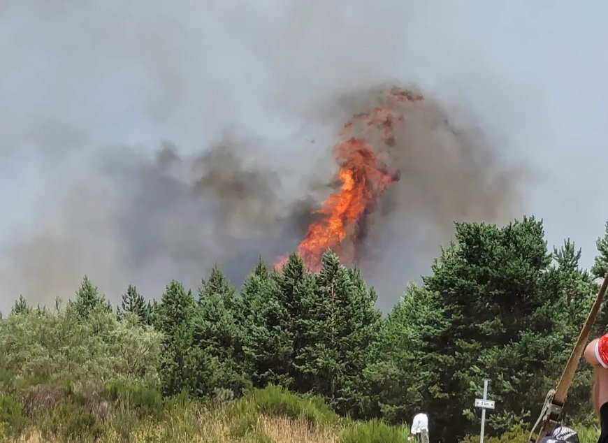 Parte de incendios – 26 de agosto de 2025