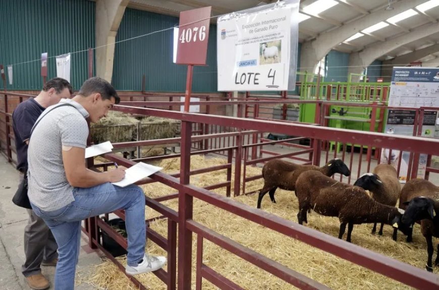 Salamaq 2025: innovación y tradición agropecuaria en Salamanca