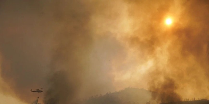 ALANTRE exige respuestas al Gobierno tras los incendios de León y Zamora