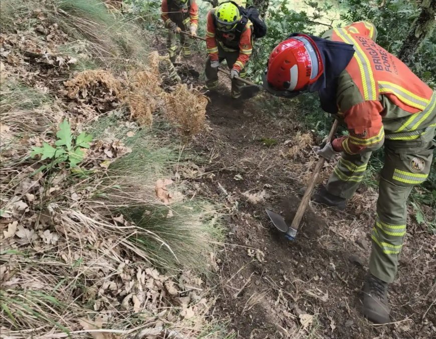 La región leonesa cerró el fin de semana sin incendios de riesgo