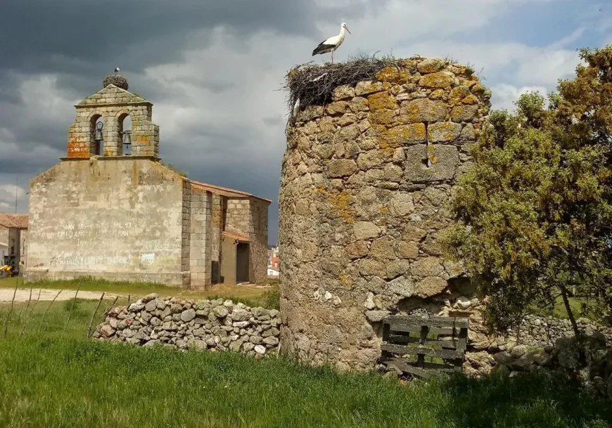 Rechazada propuesta de UPL para crear un fondo urgente de conservación del patrimonio