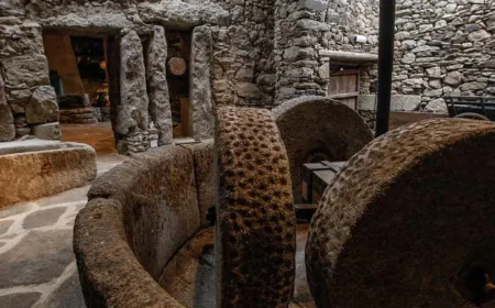 Museo del Aceite "Lagar del Mudo" en San Felices de los Gallegos