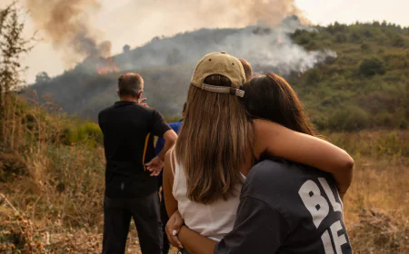 La Junta lanza ayudas para empresas afectadas por incendios forestales
