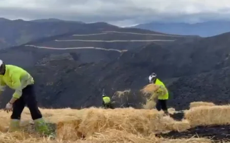 Paja, cenizas y escepticismo: el vídeo viral que retrata el abandono del monte leonés