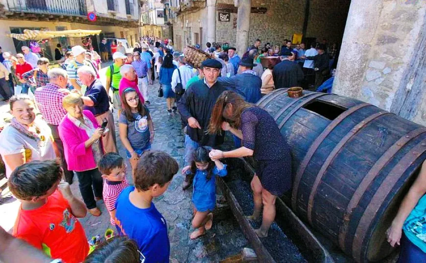 XII Fiesta de la vendimia tradicional de San Martín del Castañar