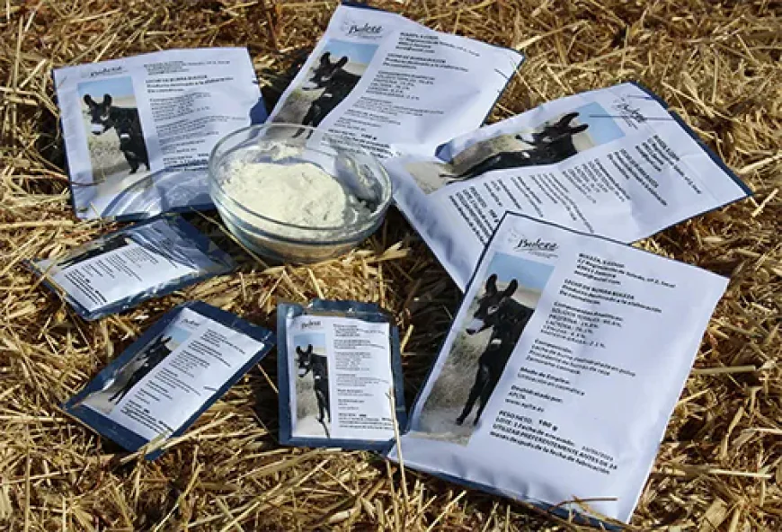 Buleza: la cooperativa zamorana que apuesta por la leche de burra Zamorano-Leonesa