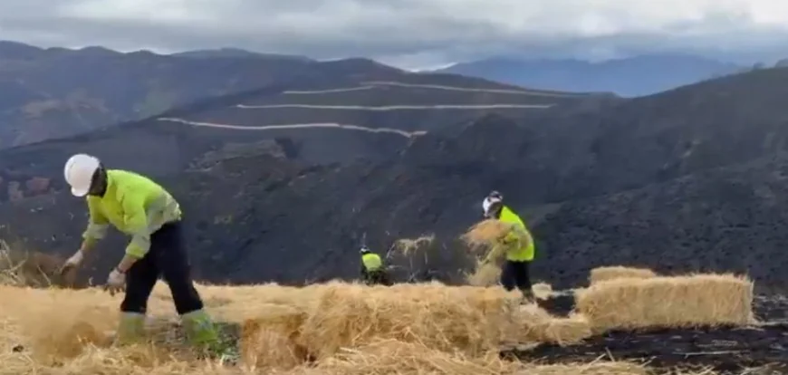 Paja, cenizas y escepticismo: el vídeo viral que retrata el abandono del monte leonés