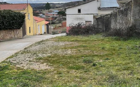 Zamora sin relevo: el mapa de la infancia ausente