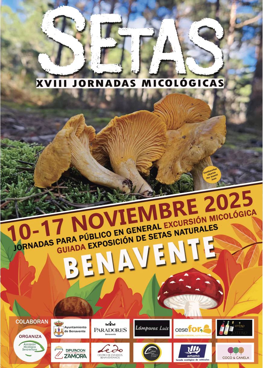 Jornadas Micológicas de Benavente: programación completa