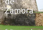Historias de Zamora: Celtas y godos