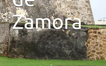 Historias de Zamora: Celtas y godos