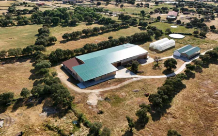 El primer matadero de ranas de España abrirá en Zamora en 2026