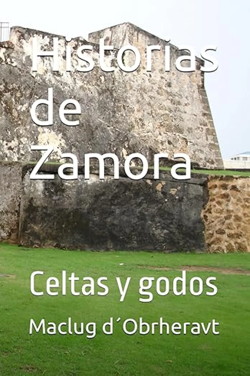 Historias de Zamora: Celtas y godos
