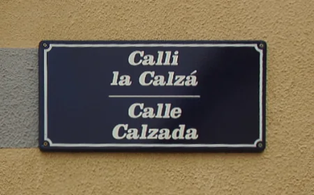 Interferencias lingüisticas y culturales en EI Rebollar