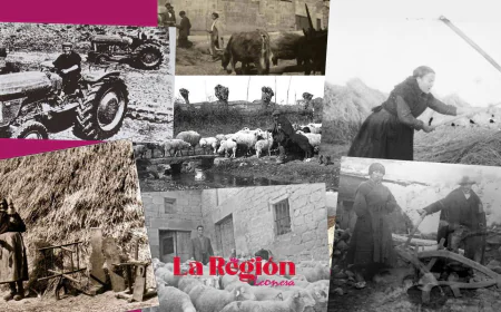 La Ruralidad Leonesa, en Estado Crítico