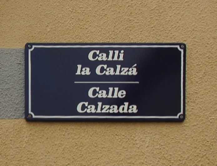 Interferencias lingüisticas y culturales en EI Rebollar