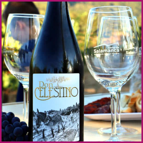 Vino Sierra de Salamanca